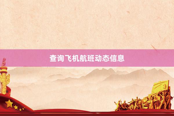 查询飞机航班动态信息
